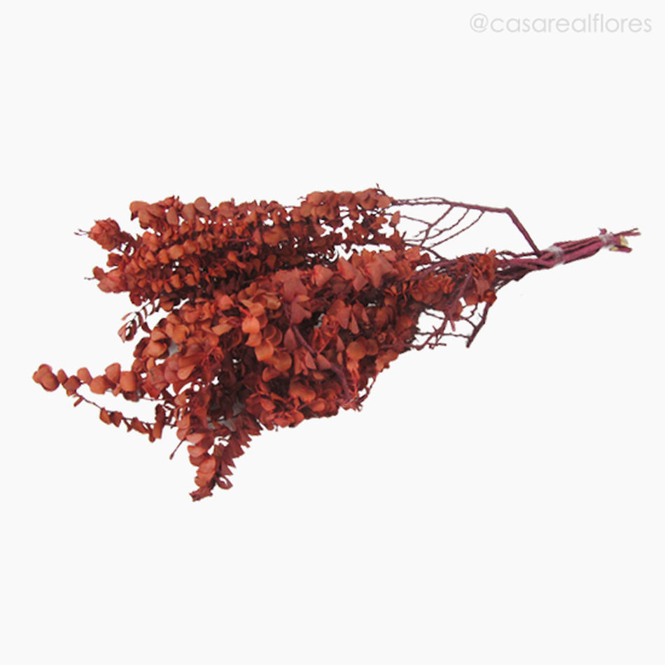 Imagem 4 do produto Costela de Adão Seca - Vermelho (0124846)