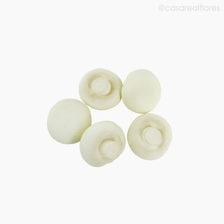 Imagem 1 do produto Cogumelos Champignon Sortidos X5 (012489)