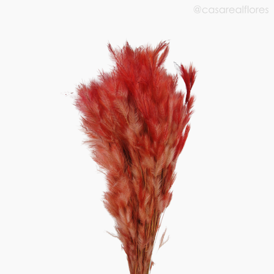 Imagem 3 do produto Pluminha Colorida Seca - Vermelho (0125386)
