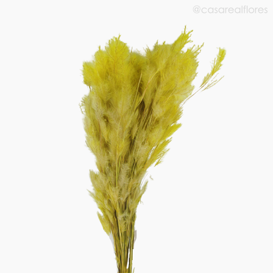 Imagem 3 do produto Pluminha Colorida Seca - Amarelo (01253812)