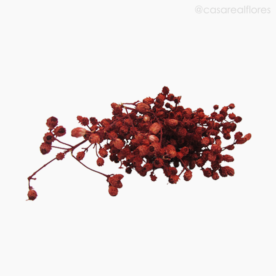 Imagem 5 do produto Roxinho Seco Colorido - Vermelho (0123736)