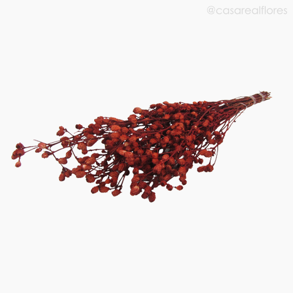Imagem 4 do produto Roxinho Seco Colorido - Vermelho (0123736)
