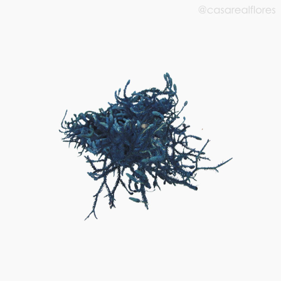 Imagem 5 do produto Capim Licopódio Colorido - Azul (0125399)