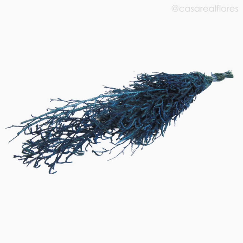 Imagem 4 do produto Capim Licopódio Colorido - Azul (0125399)