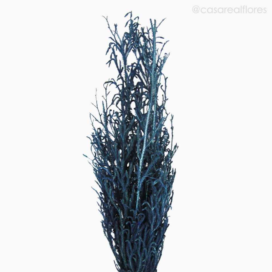 Imagem 3 do produto Capim Licopódio Colorido - Azul (0125399)