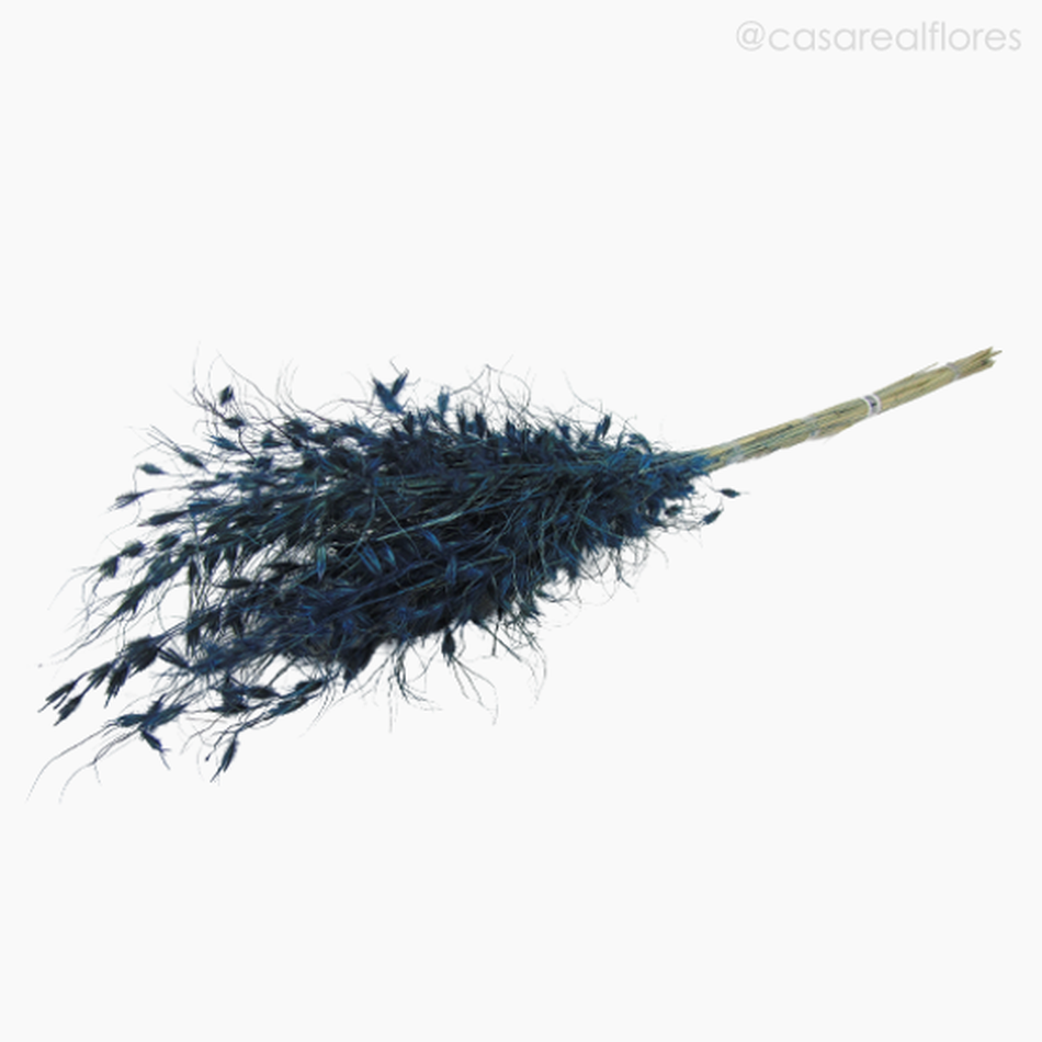 Imagem 4 do produto Brinco de Princesa - Azul (0120279)
