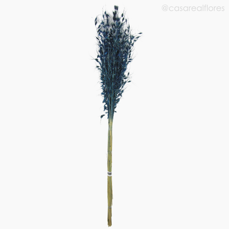 Imagem 1 do produto Brinco de Princesa - Azul (0120279)