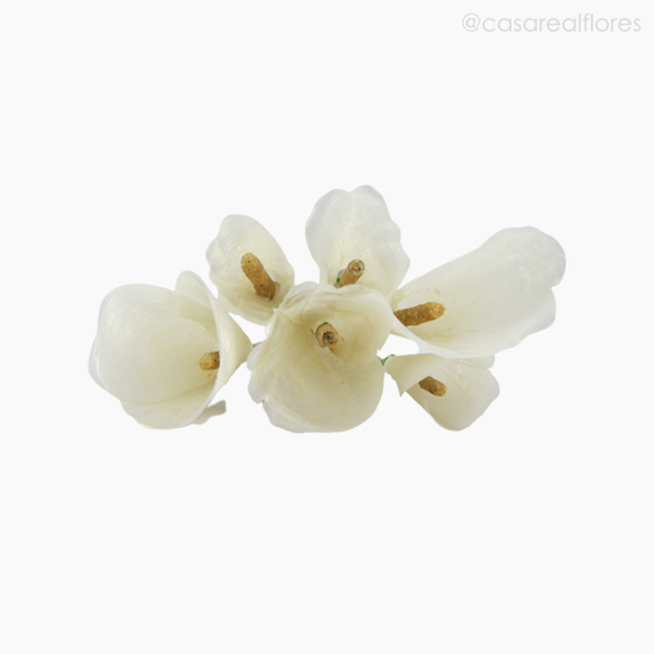 Imagem 4 do produto Flor de Escama de Peixe - Copo de Leite (012207)