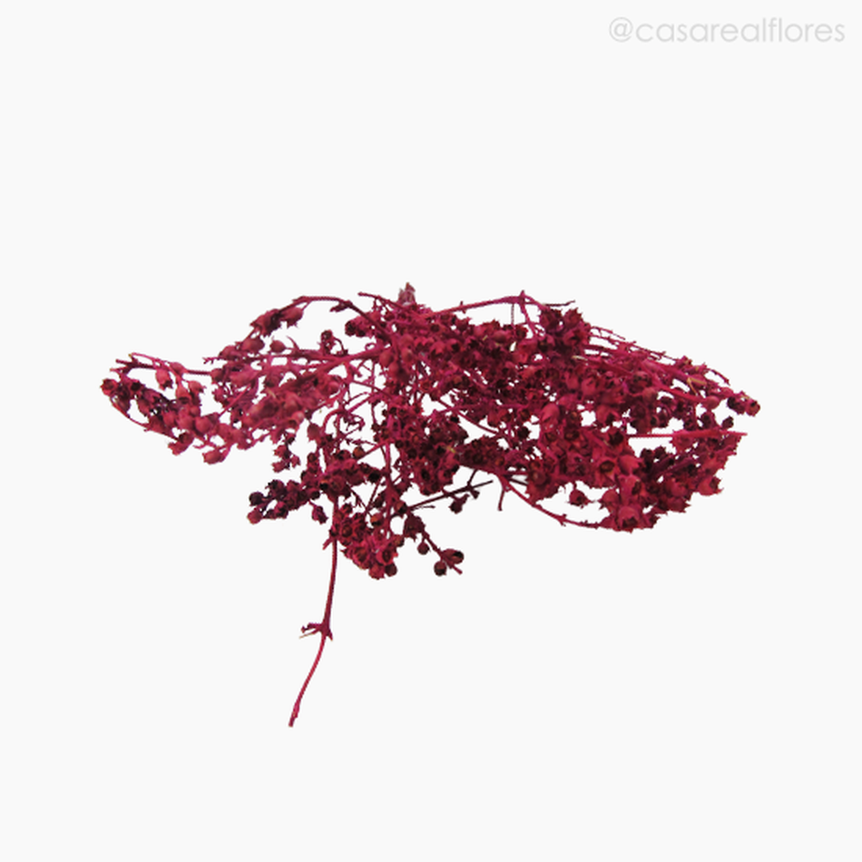 Imagem 5 do produto Ramo Coroinha Natural Seco - Rosa (0120558)