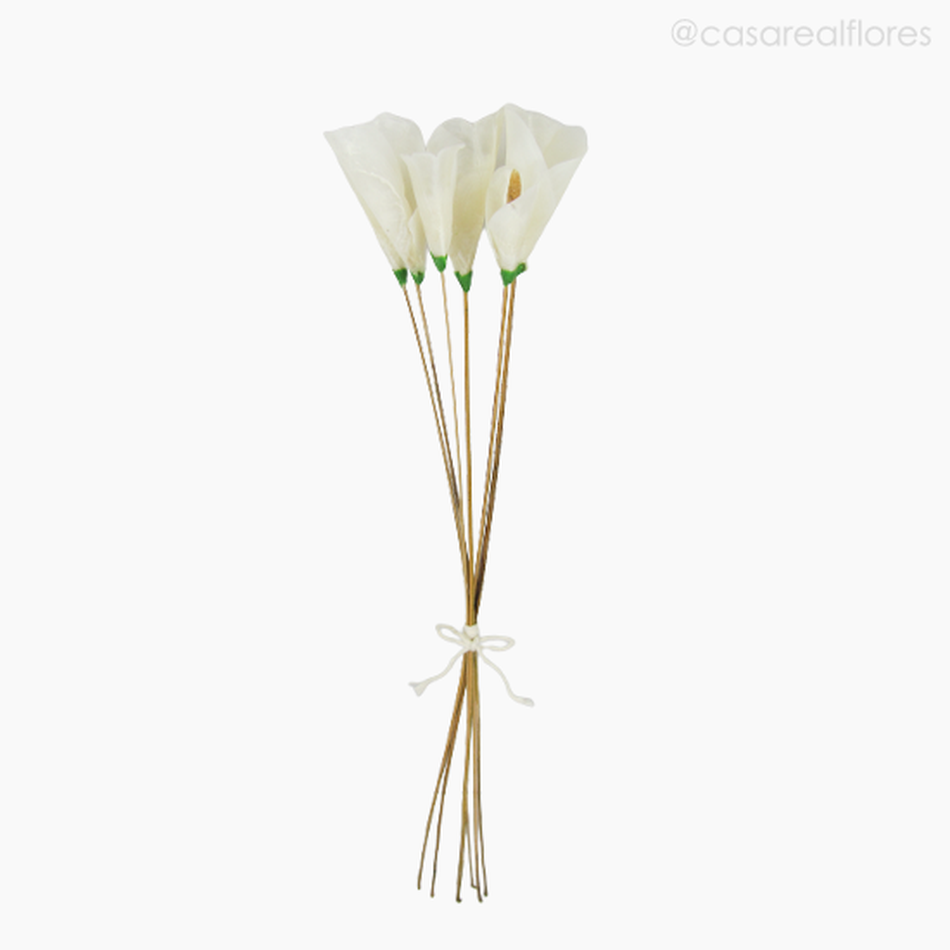 Imagem 1 do produto Flor de Escama de Peixe - Copo de Leite (012207)