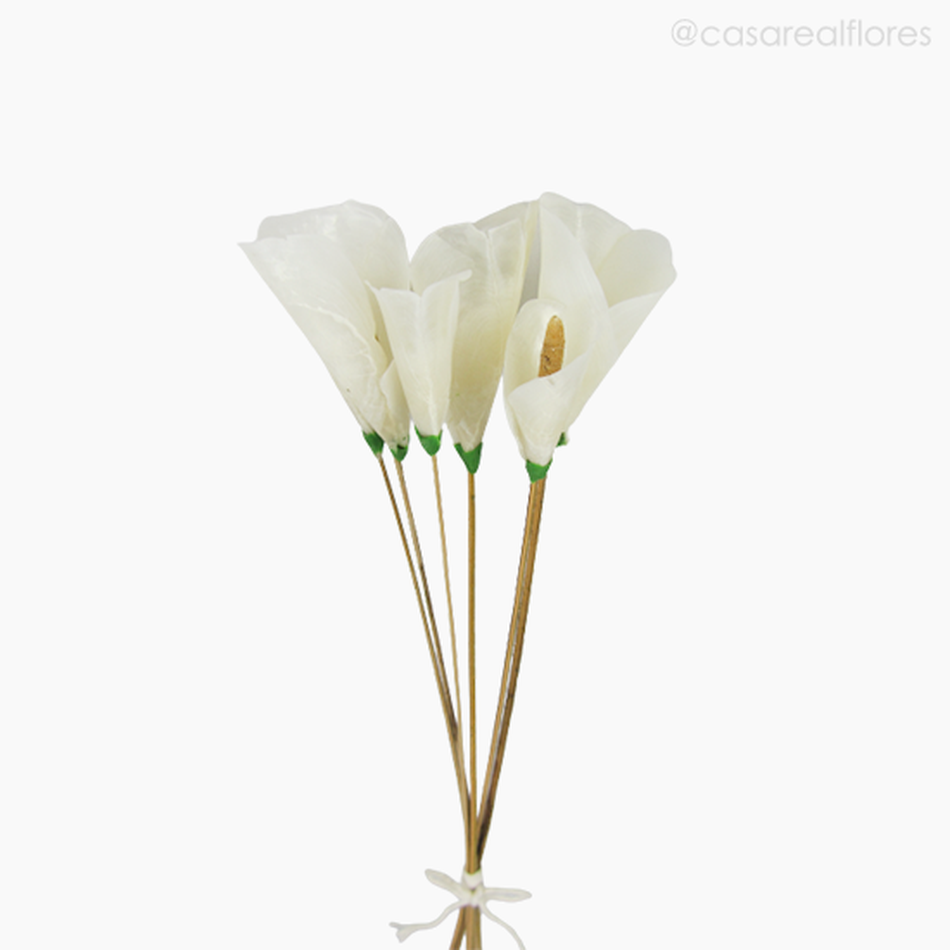 Imagem 2 do produto Flor de Escama de Peixe - Copo de Leite (012207)