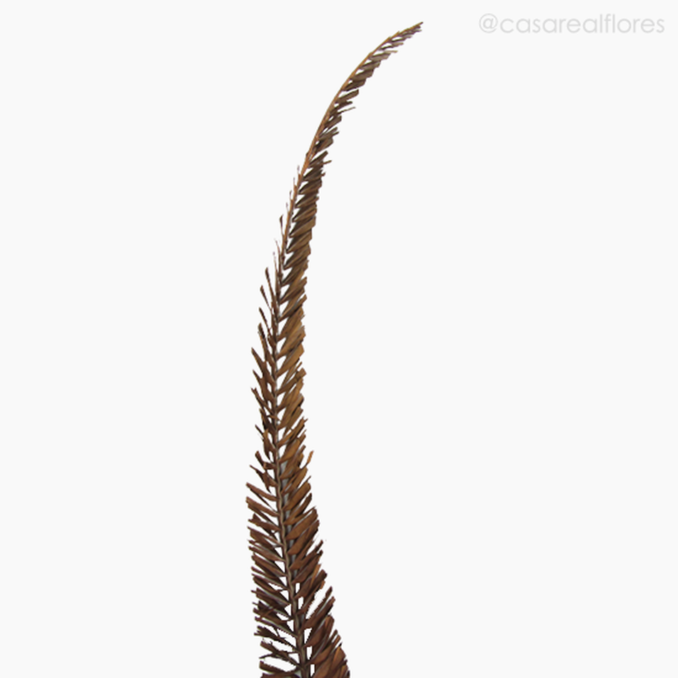 Imagem 3 do produto Palmeira Natural Seca Longa - Marrom (0123834)