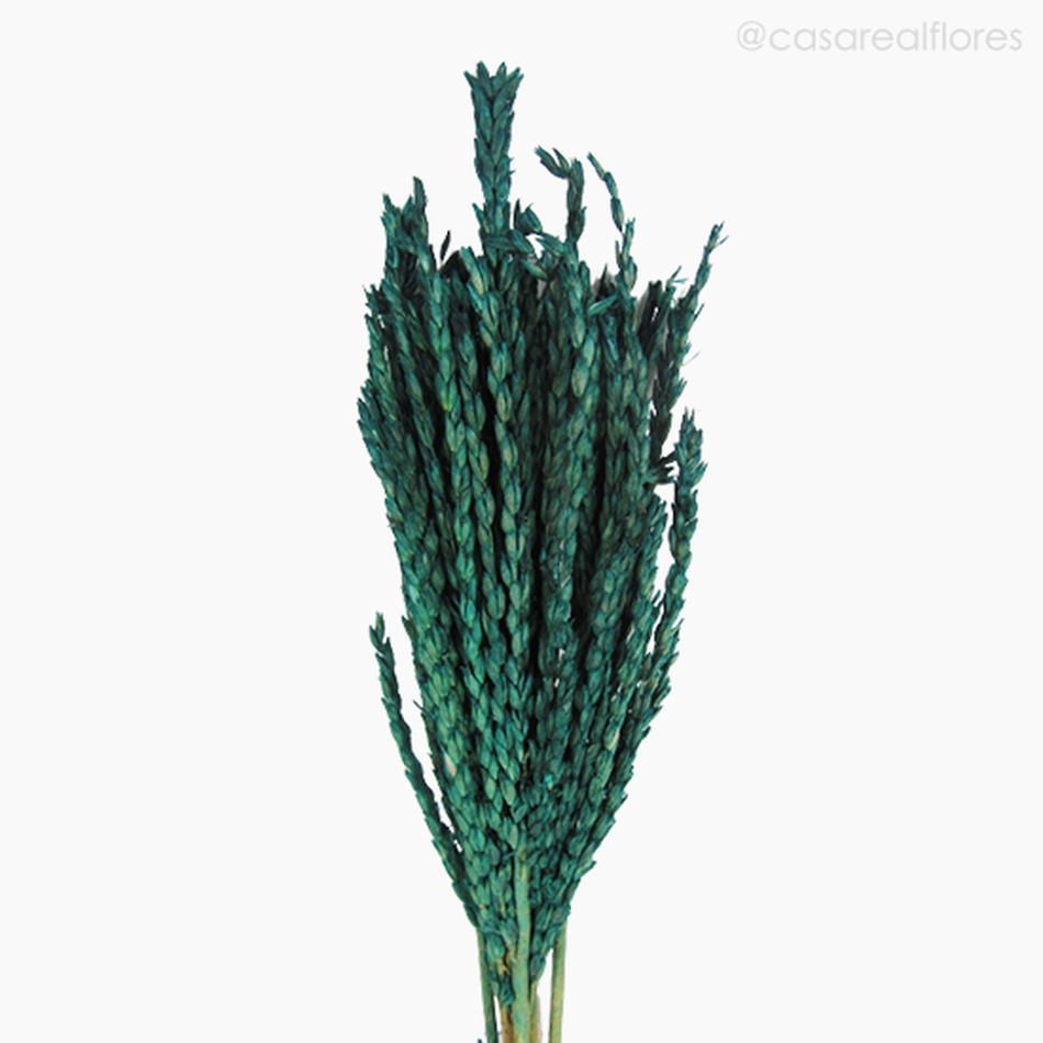 Imagem 3 do produto Pendão de Milho - Verde (01226410)