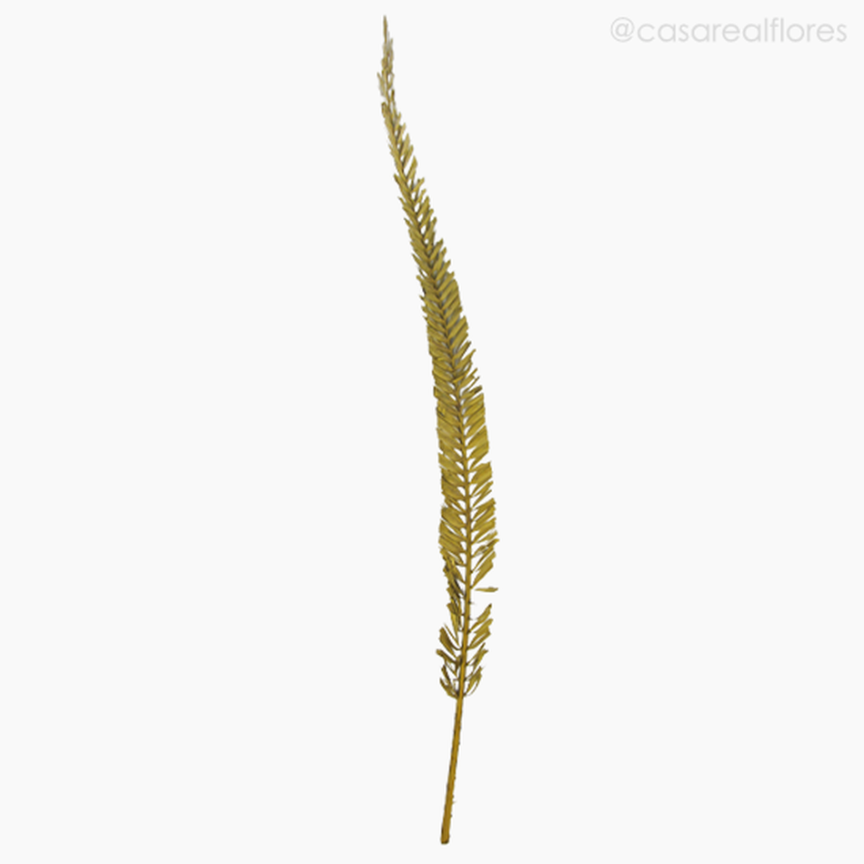 Imagem 1 do produto Palmeira Natural Seca Longa - Amarelo (01238312)