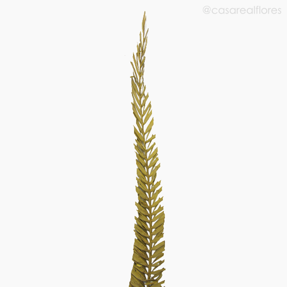 Imagem 3 do produto Palmeira Natural Seca Longa - Amarelo (01238312)