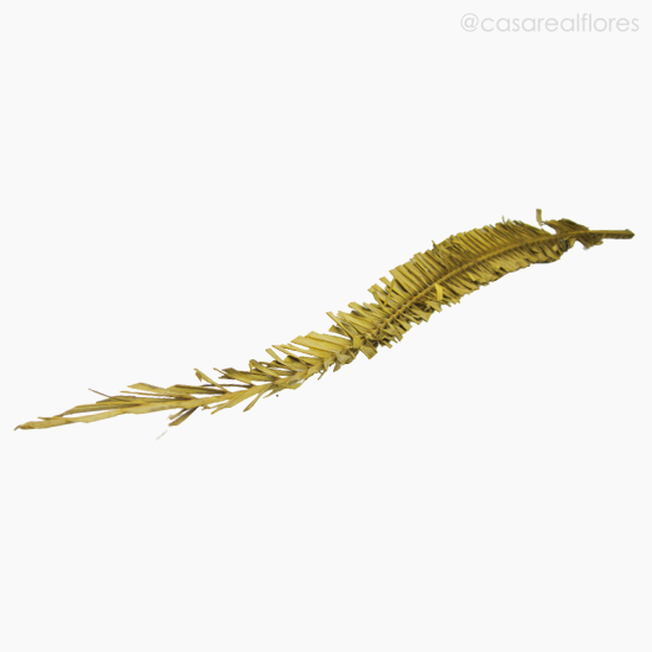 Imagem 4 do produto Palmeira Natural Seca Longa - Amarelo (01238312)