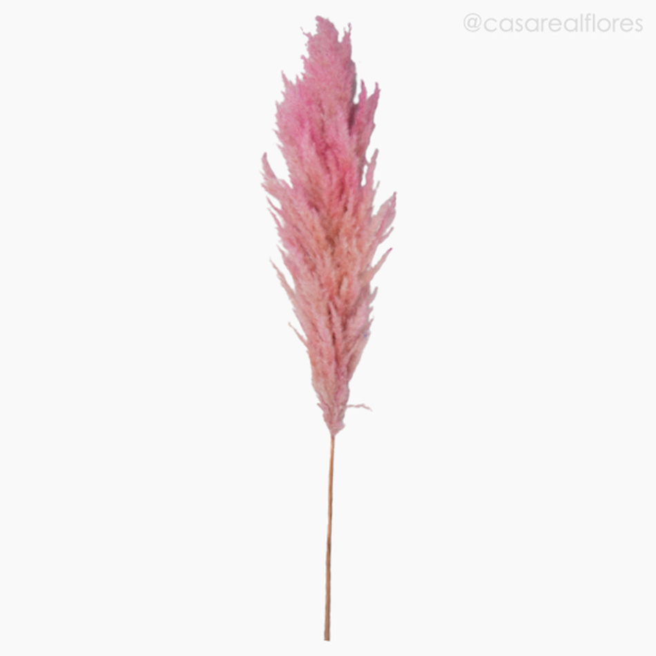 Imagem 1 do produto Capim dos Pampas Colorido - Rosa (0120078)