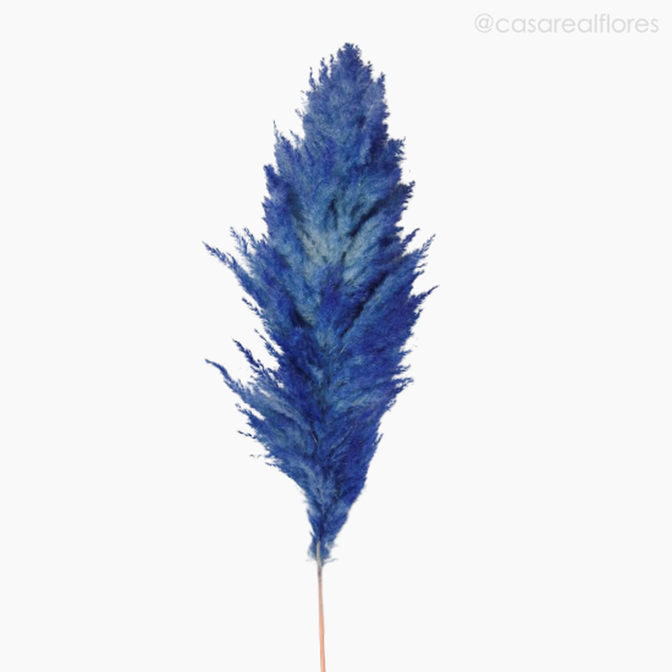 Imagem 3 do produto Capim dos Pampas Colorido - Azul (0120079)