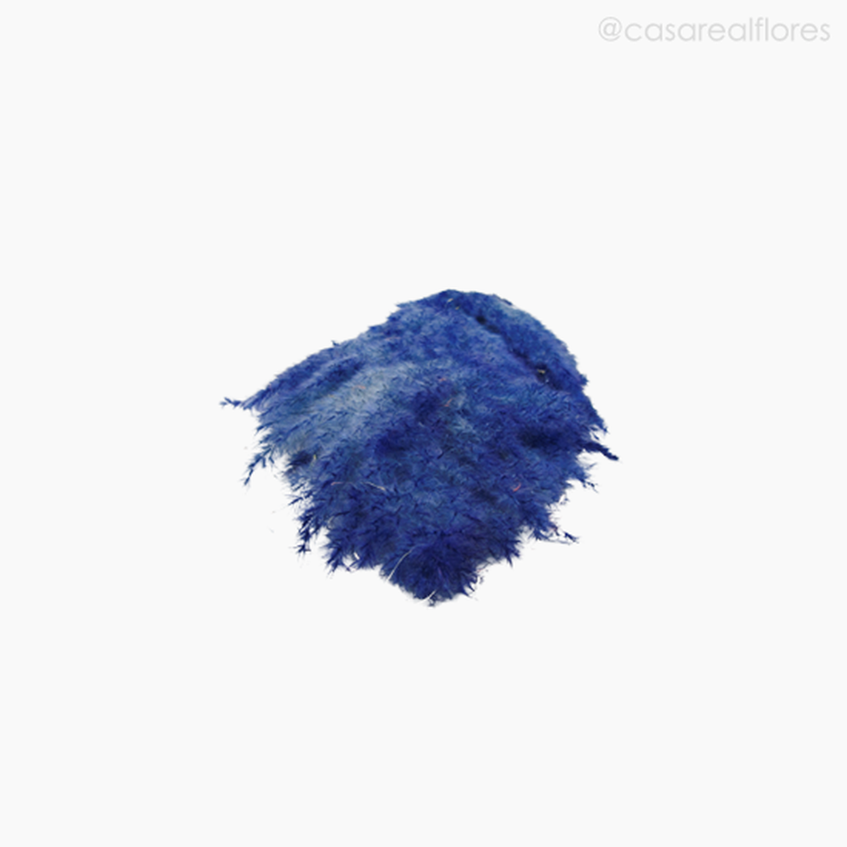 Imagem 5 do produto Capim dos Pampas Colorido - Azul (0120079)