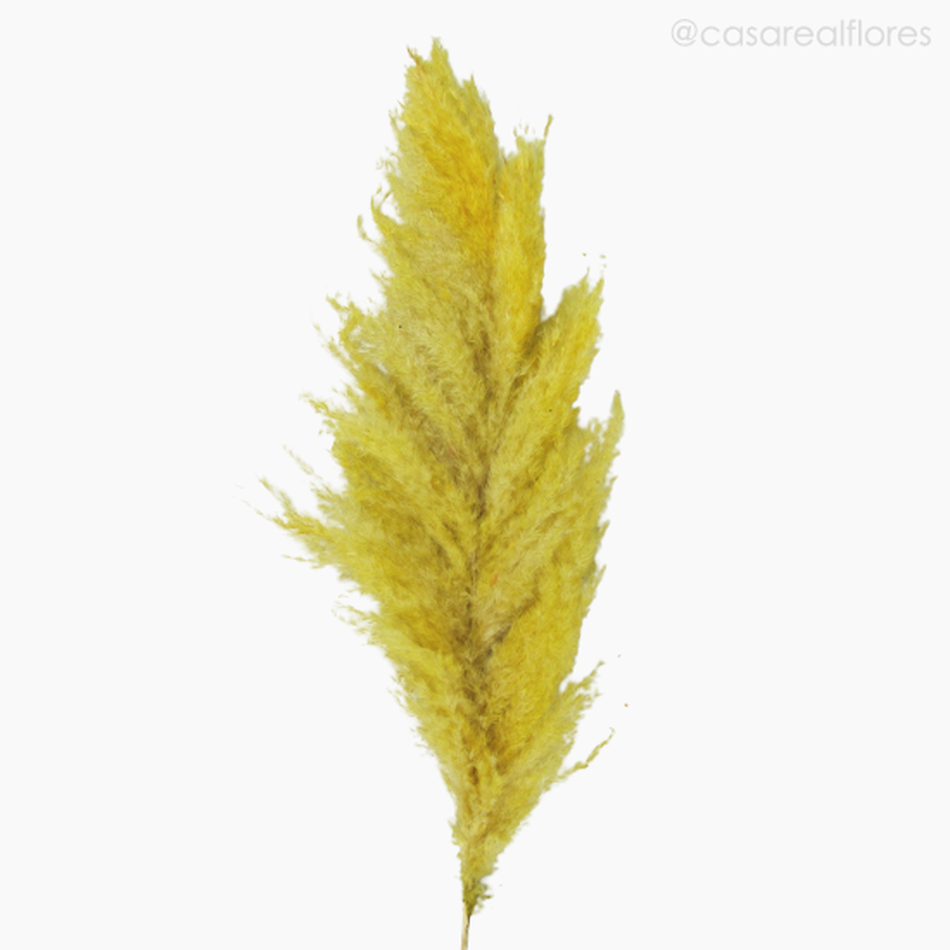 Imagem 3 do produto Capim dos Pampas Colorido - Amarelo (01200712)