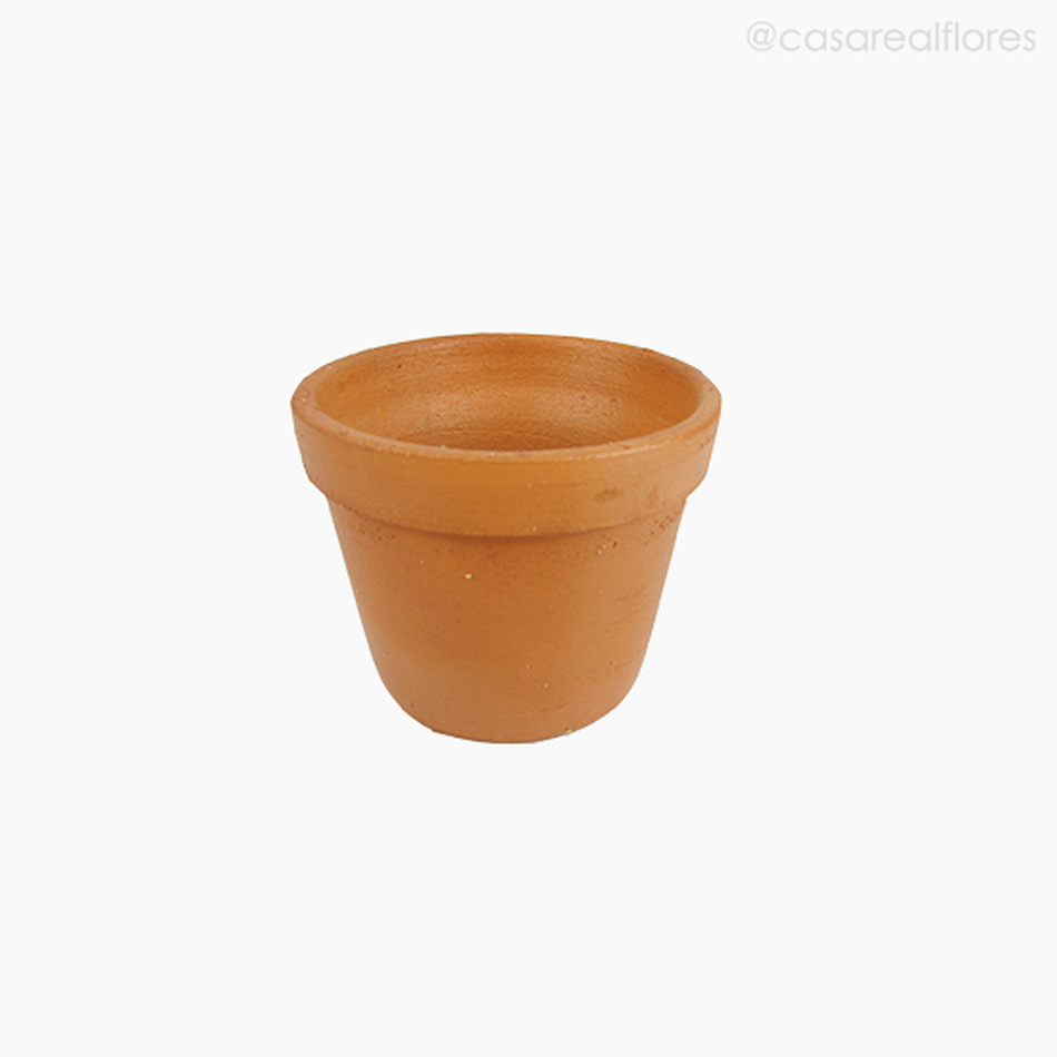 Imagem 2 do produto Vaso Mini Cactus - Terra (010949)