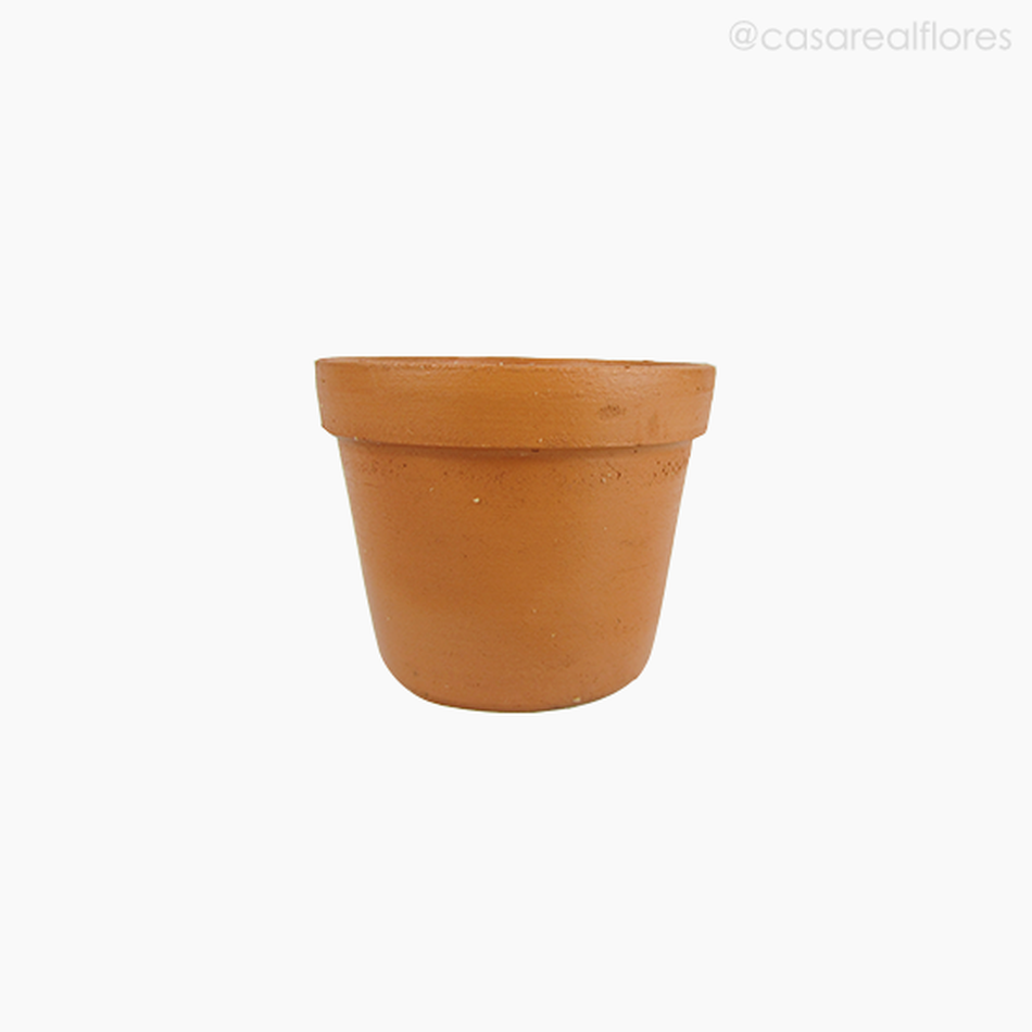 Imagem 1 do produto Vaso Mini Cactus - Terra (010949)