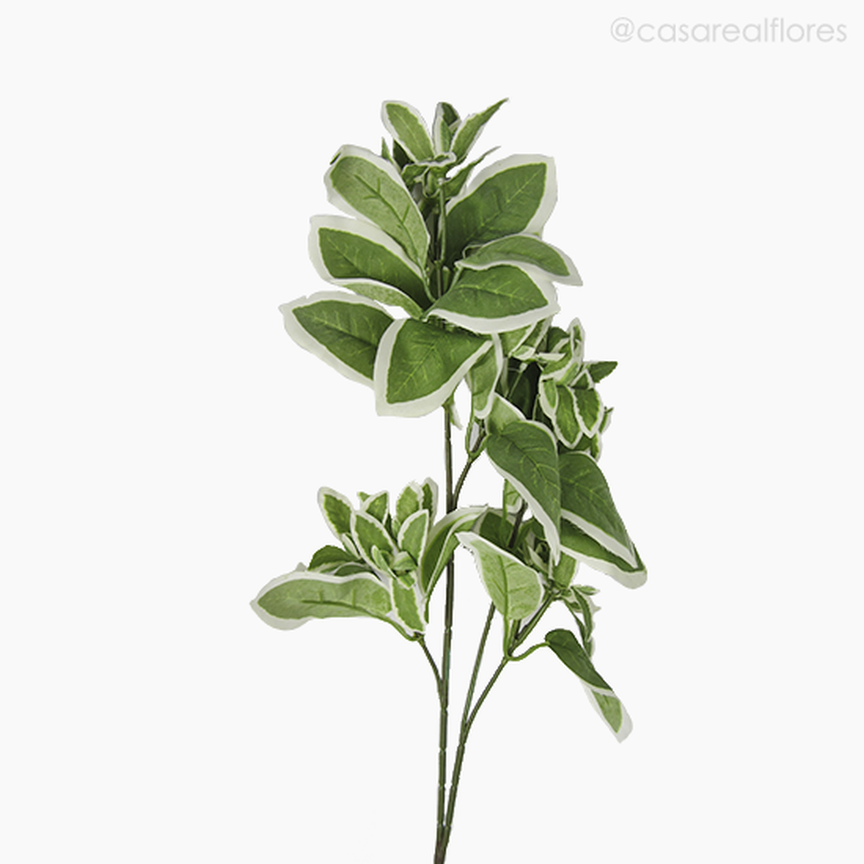 Imagem 2 do produto Galho Euphorbia Artificial (9504)