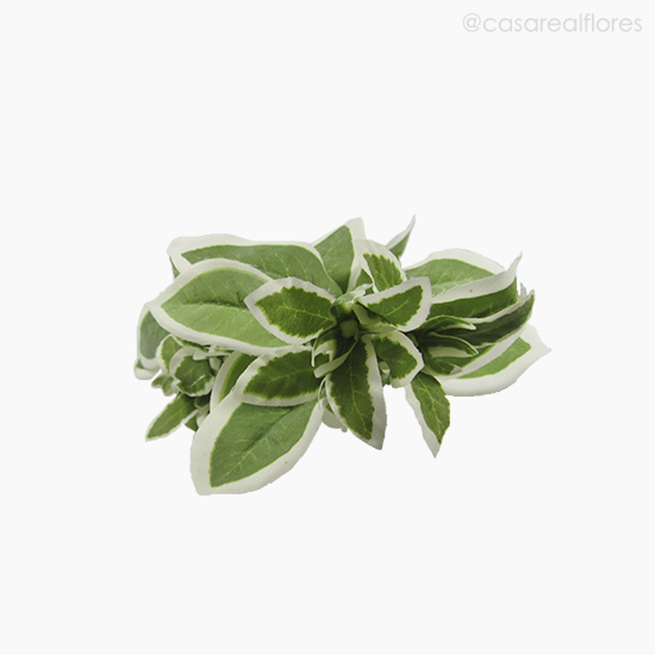 Imagem 4 do produto Galho Euphorbia Artificial (9504)