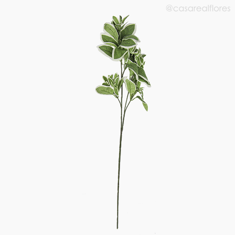 Imagem 1 do produto Galho Euphorbia Artificial (9504)