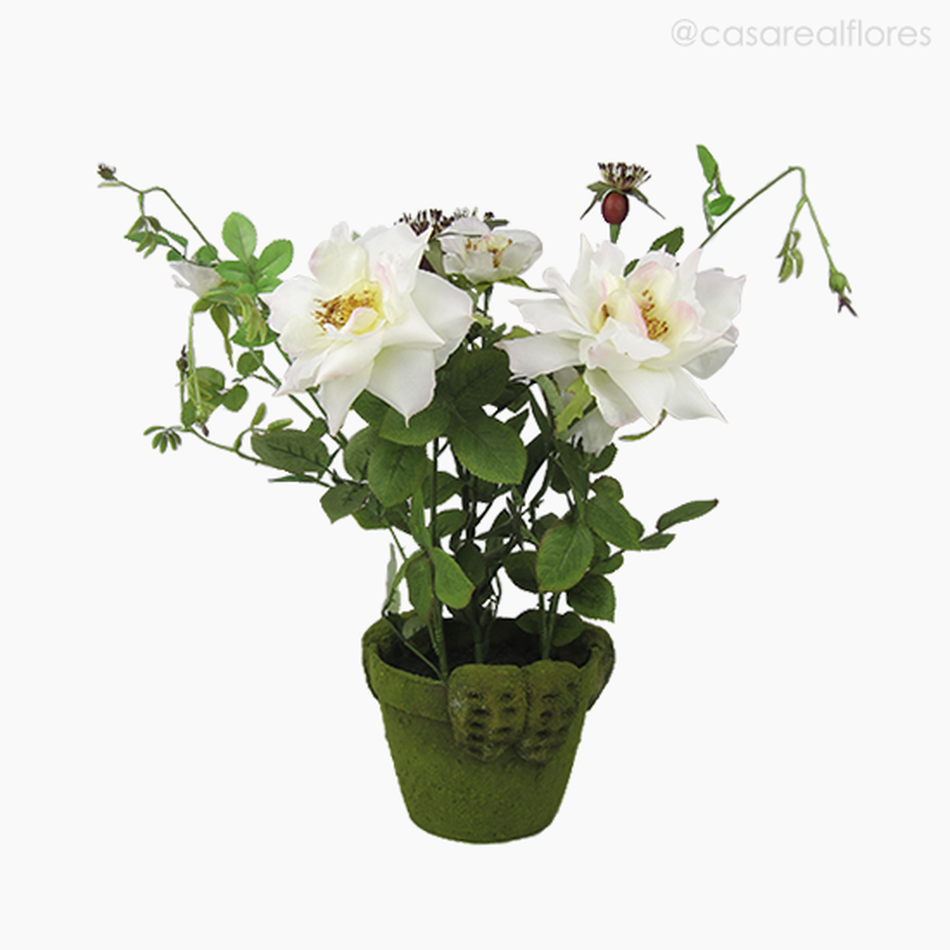 Imagem 1 do produto Roseira no Vaso com Musgo Artificial - Branco (7519)