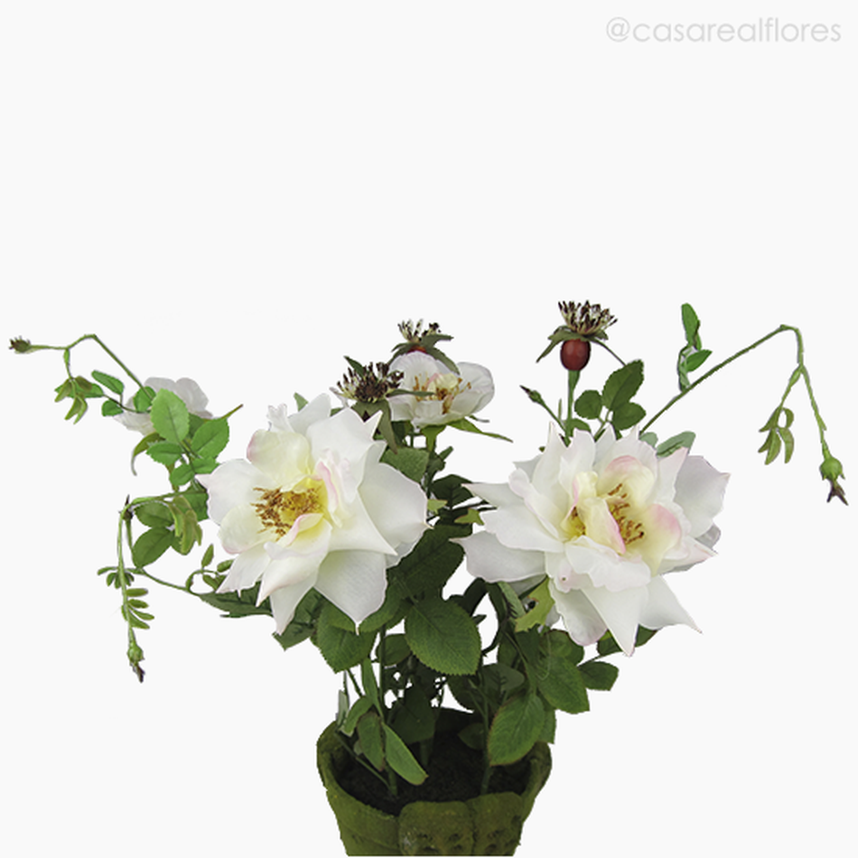 Imagem 2 do produto Roseira no Vaso com Musgo Artificial - Branco (7519)