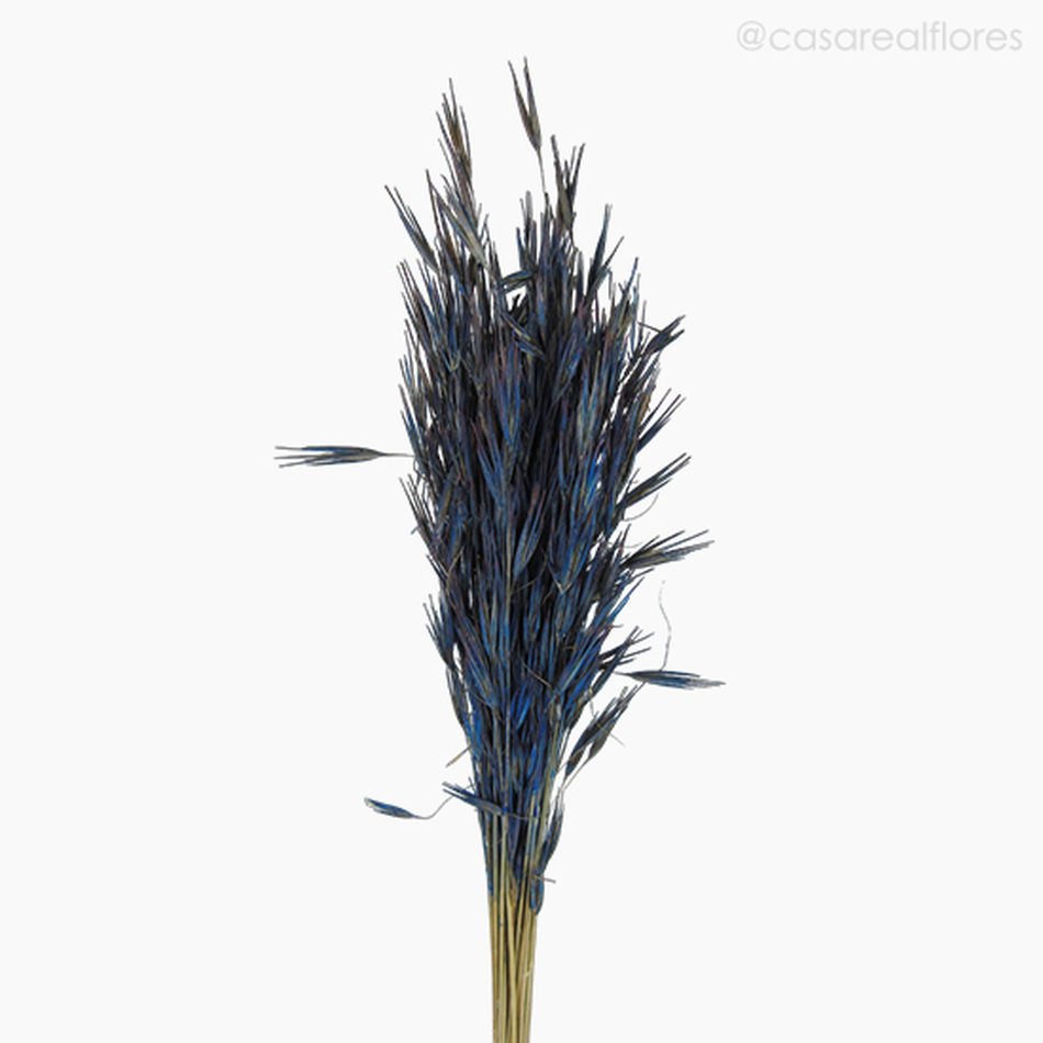 Imagem 3 do produto Capim Trigão Colorido - Azul (0125869)