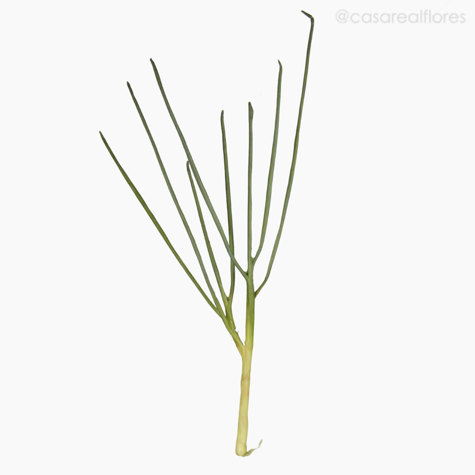 Imagem 1 do produto Cebolinha (07823)