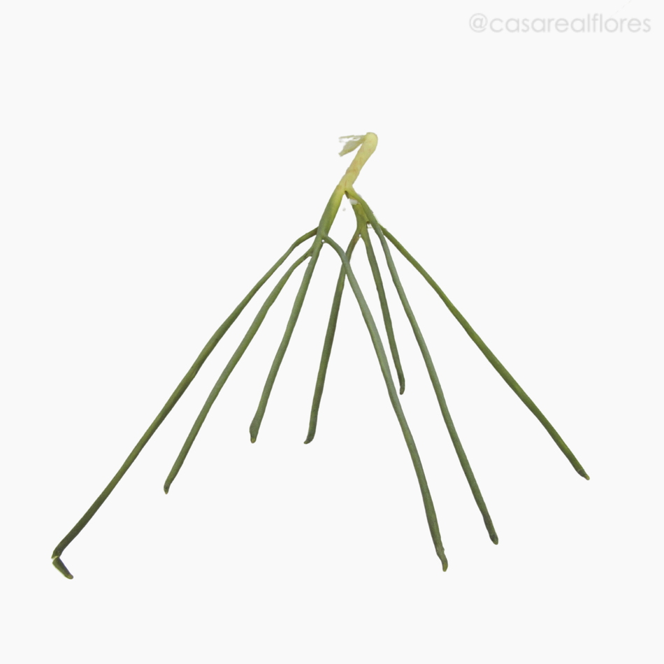 Imagem 2 do produto Cebolinha (07823)