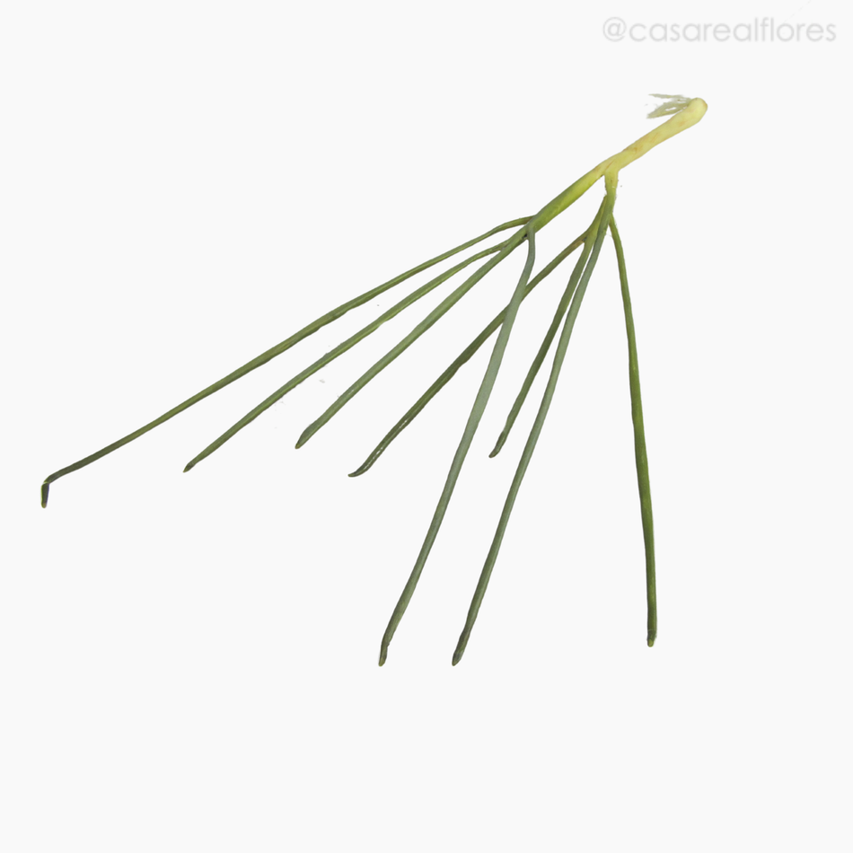 Imagem 4 do produto Cebolinha (07823)