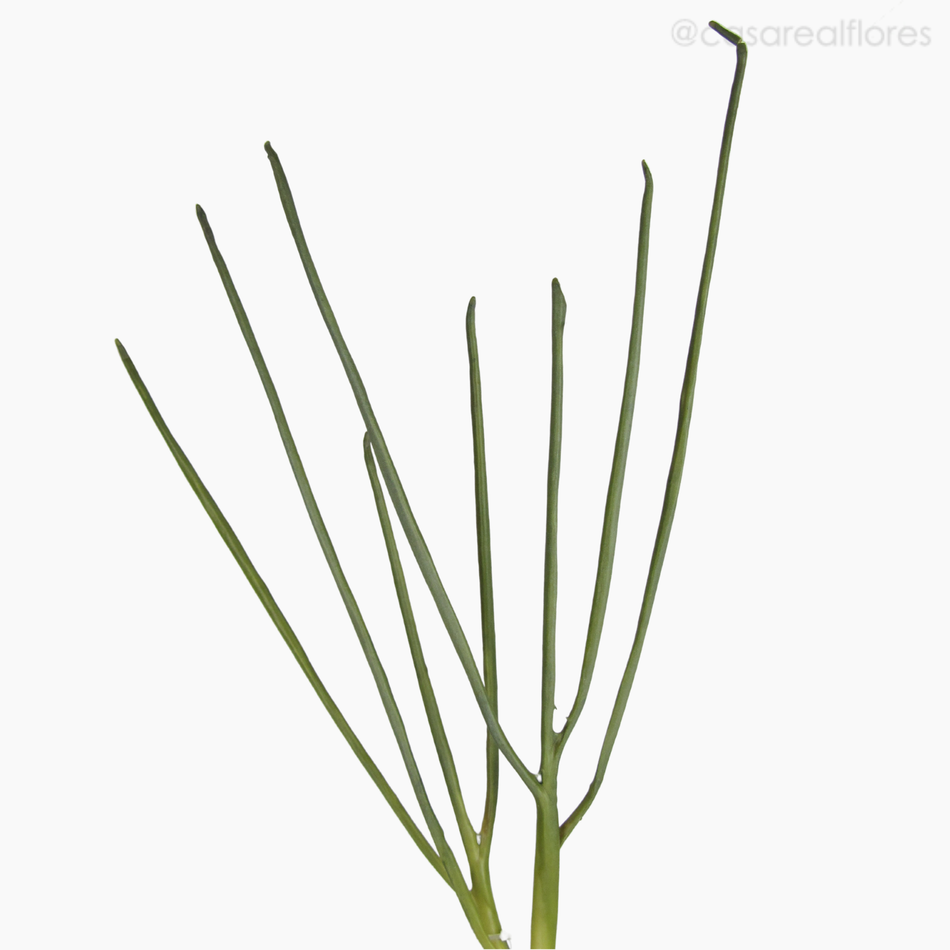 Imagem 3 do produto Cebolinha (07823)