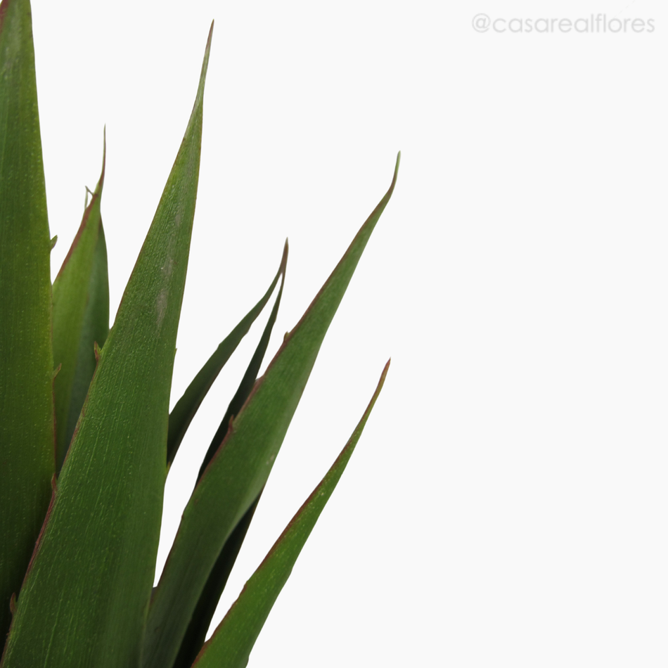 Imagem 5 do produto Planta Agave - Artificial (9548)