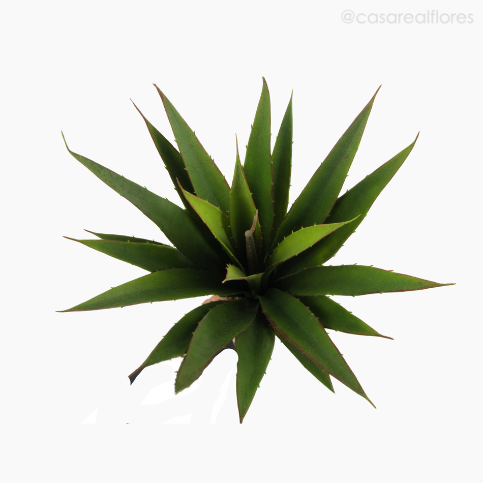 Imagem 6 do produto Planta Agave - Artificial (9548)