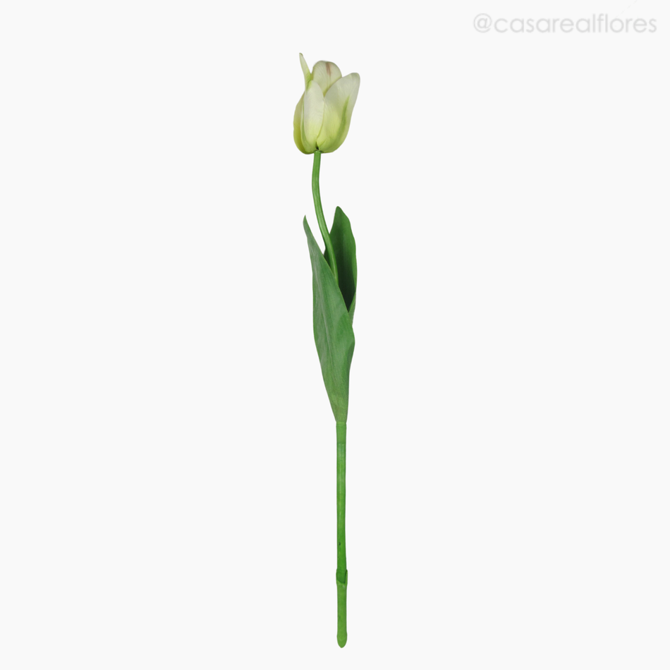 Imagem 1 do produto Galho Tulipa Angel Artificial - Creme (9609)
