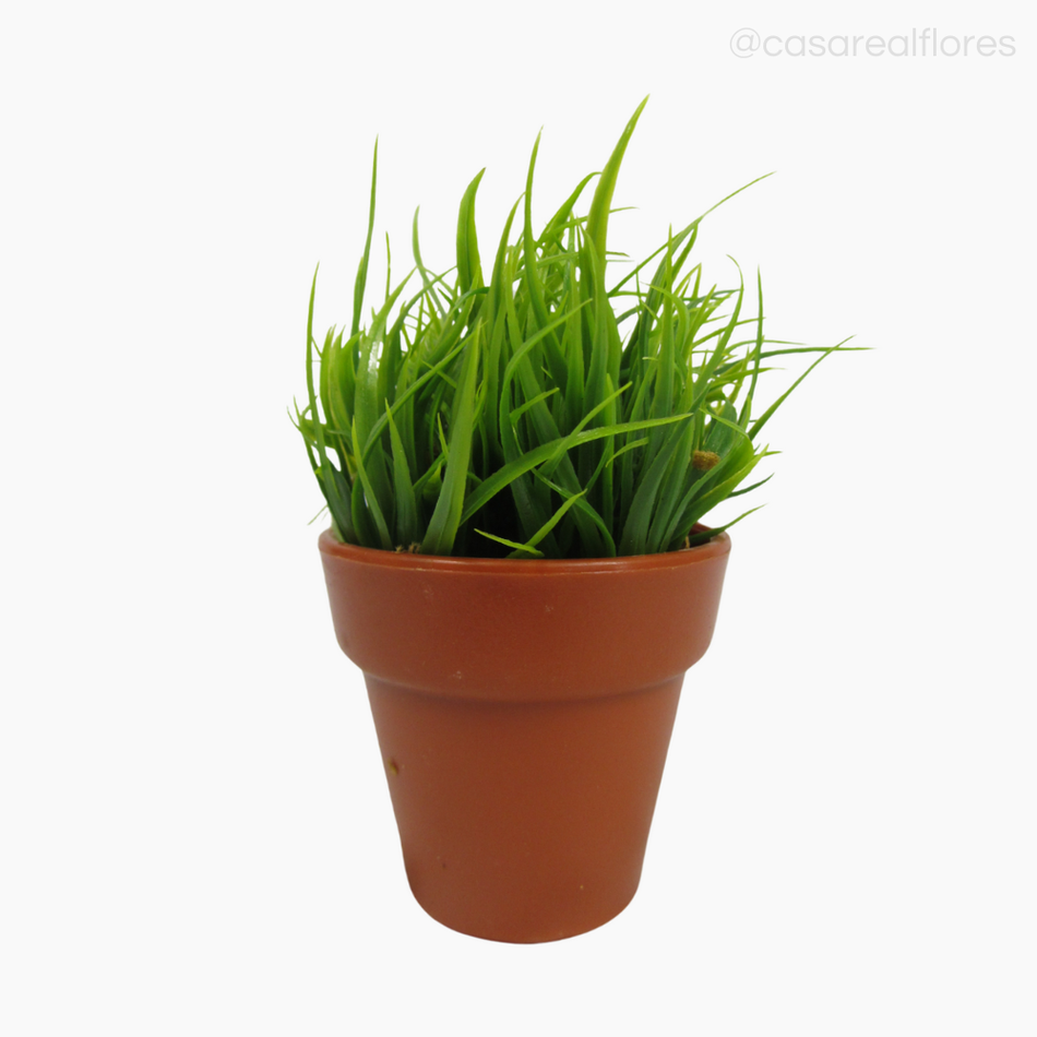 Imagem 1 do produto Pick Podocar no Vasinho (7885)