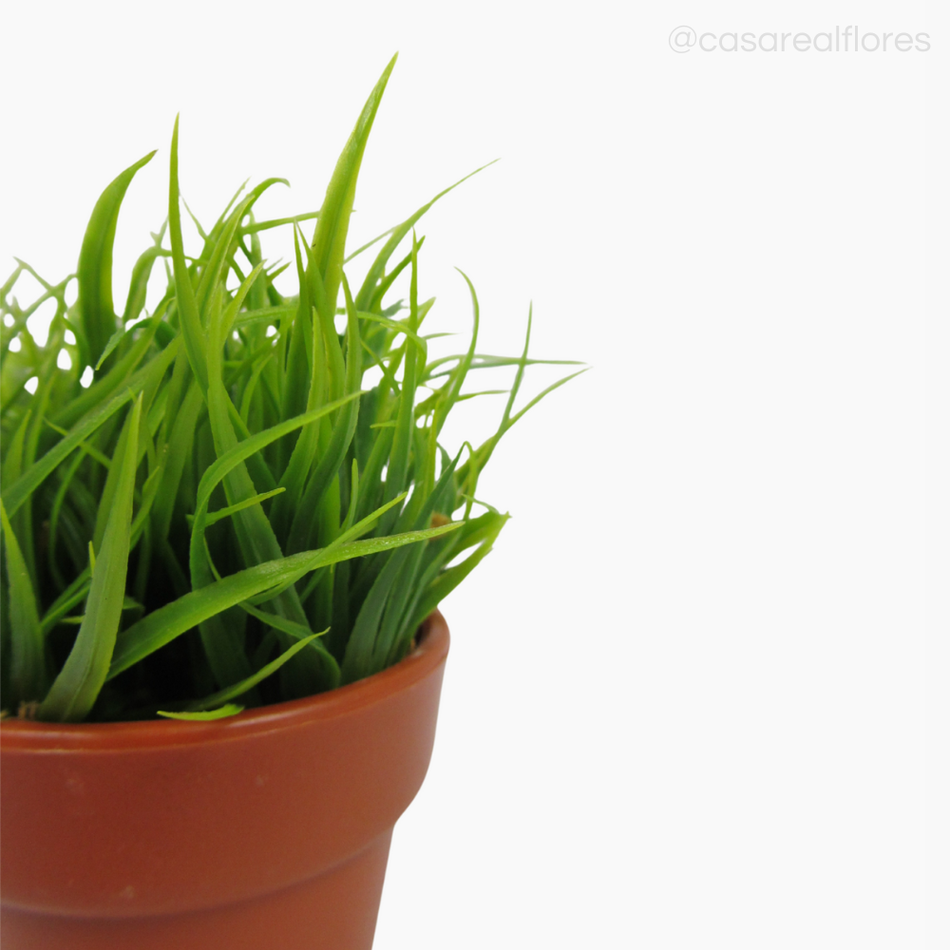 Imagem 3 do produto Pick Podocar no Vasinho (7885)