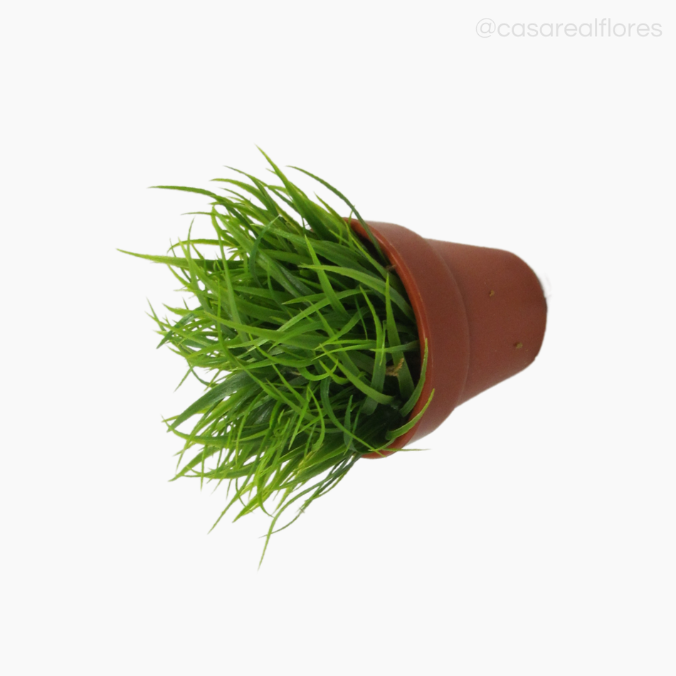 Imagem 2 do produto Pick Podocar no Vasinho (7885)