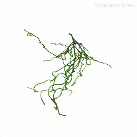 Imagem 2 do produto Galho Brich Artificial - Verde (5908)