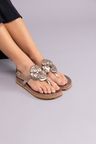 Cor PRATA VELHO do produto Flat Sandal Couro Palma Prata Velho