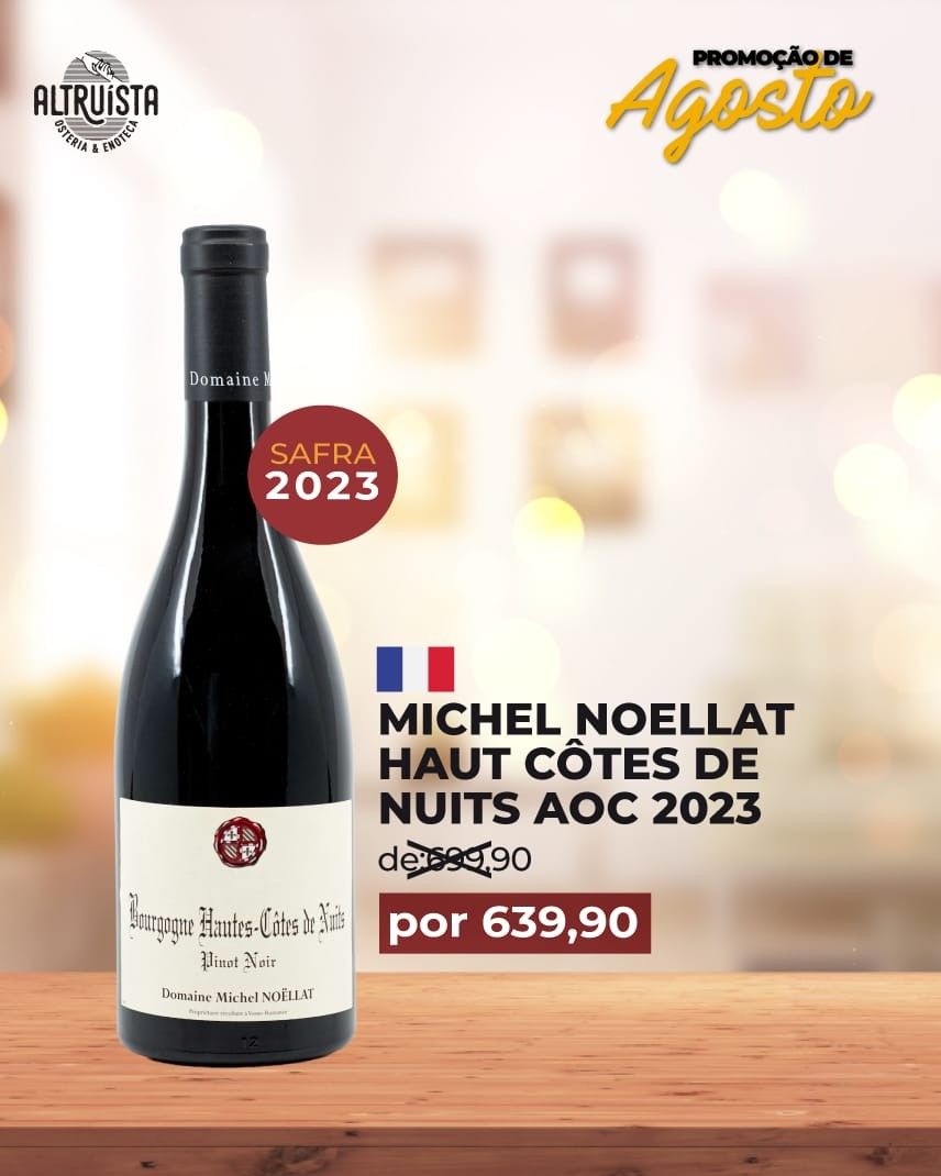 Domaine Michel Noëllat Nuits-Saint AOC