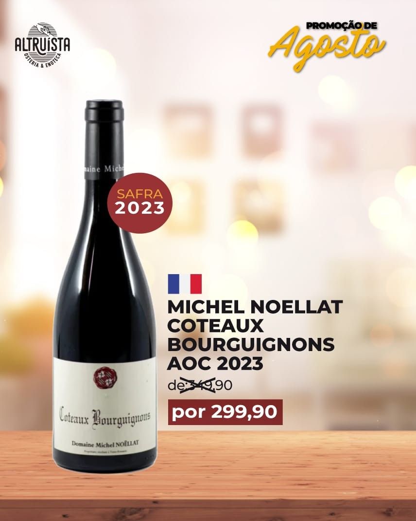 Domaine  Michel Noellat Coteaux Bourguignons Rouge