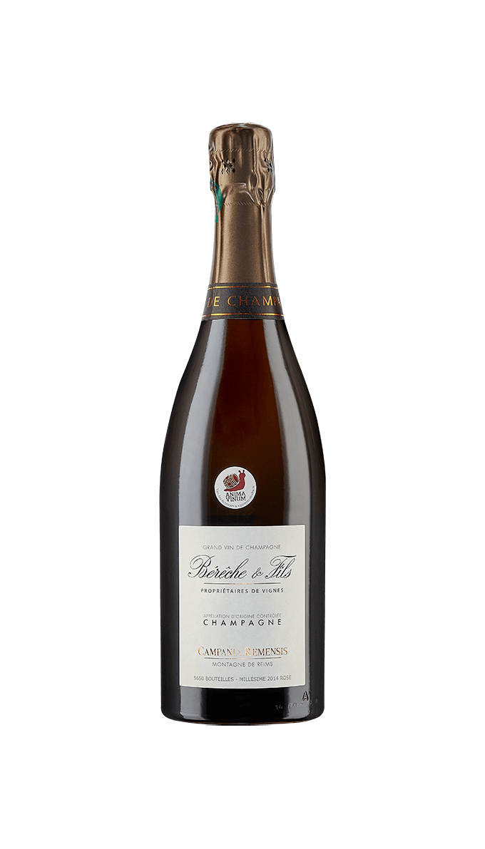 Champagne Campania Remensis - Millésime 2017