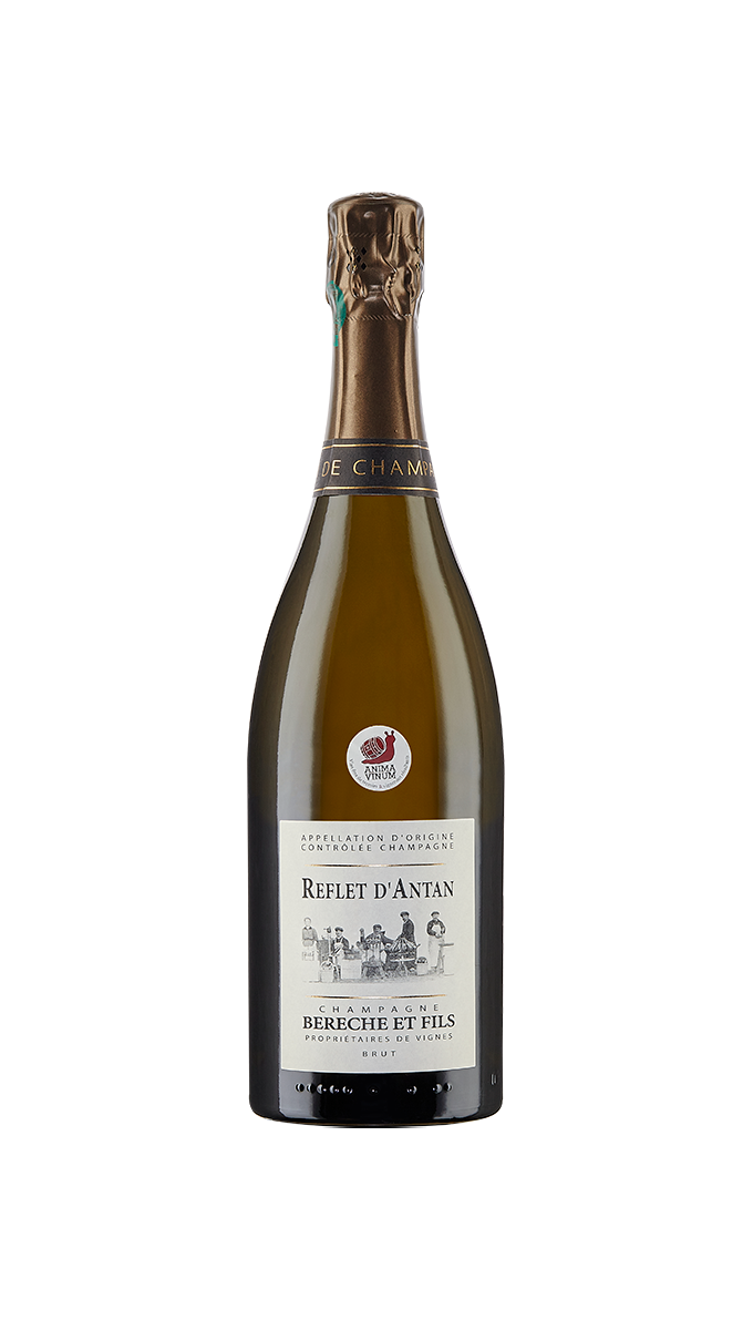 Champagne Reflet D'Antan