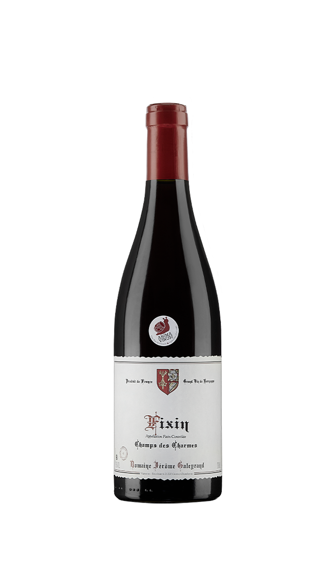 Vinho Tinto Fixin Champs des Charmes