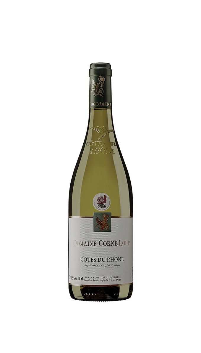Vinho Branco Côtes Du Rhône